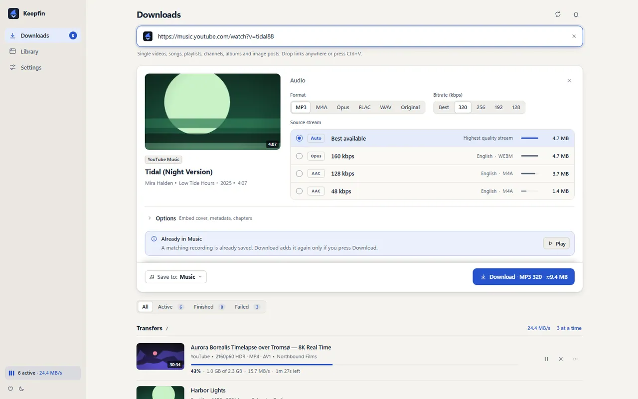 Keepfin reviewing an audio download with format and quality options